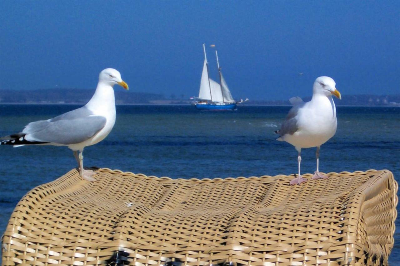 Apartmán Anker Laboe Exteriér fotografie